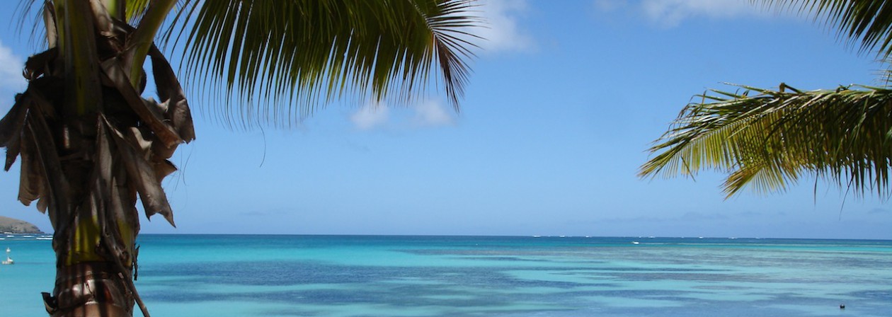 Fiji Paradise: Kava Cannibals and Curses